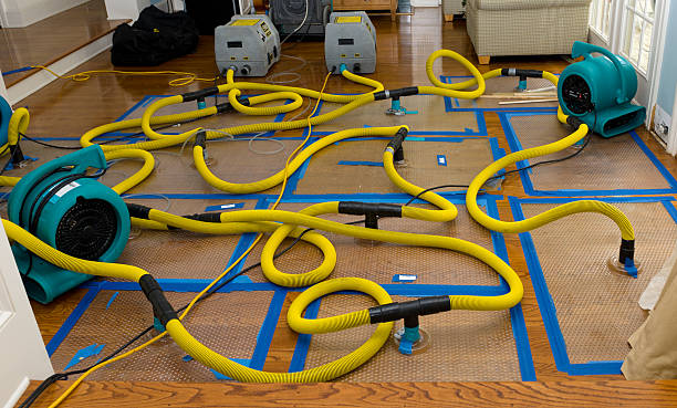 Professional Crawl Space Water Removal technician working in Mico, TX